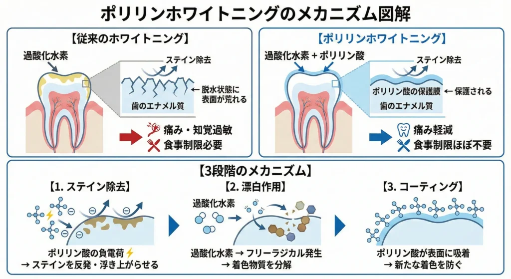 ポリリン酸の作用メカニズム