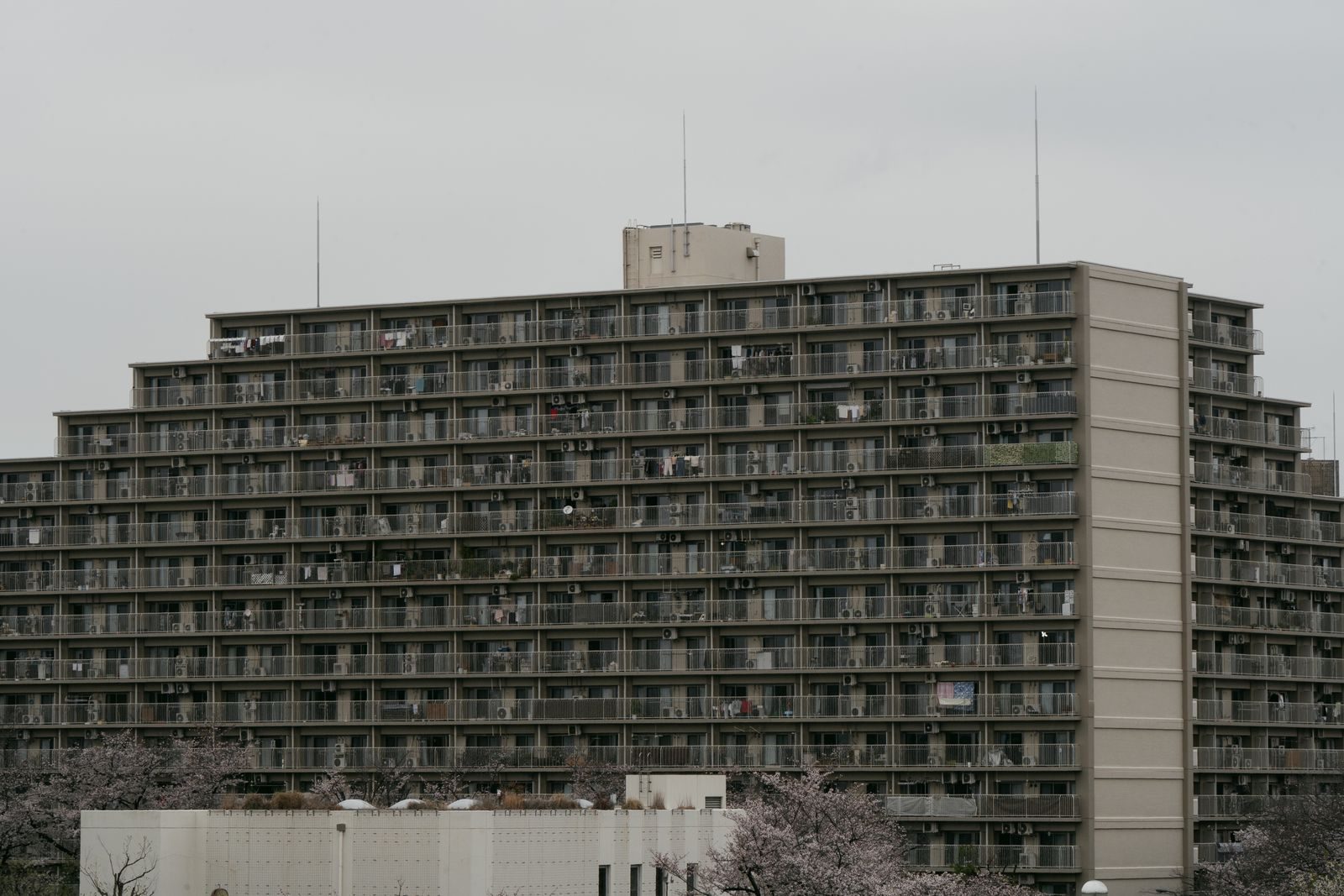集合住宅
